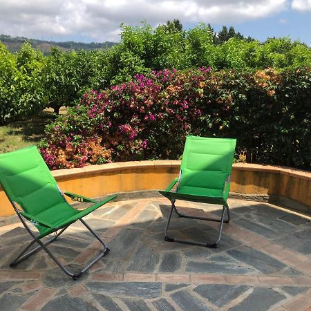 Casa Clementina Apartman Pizzo Kültér fotó
